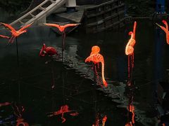 -深圳欢乐谷