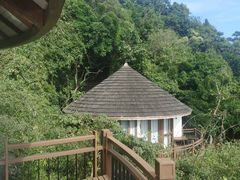 -三亚亚龙湾人间天堂鸟巢度假村