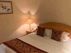 -南京维景国际大酒店(南京博物院店)