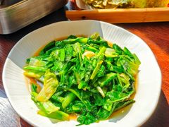 清炒油麦菜-阿峰饭店·本地土菜馆·农家土鸡煲·一品神仙鸡(报福店)