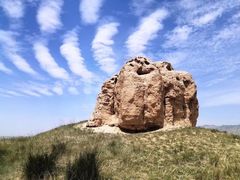 -山丹皇家马场