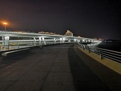 -演武大桥观景平台