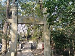 -上海佘山国家森林公园天马山园