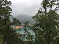 -广州市流溪河国家森林公园