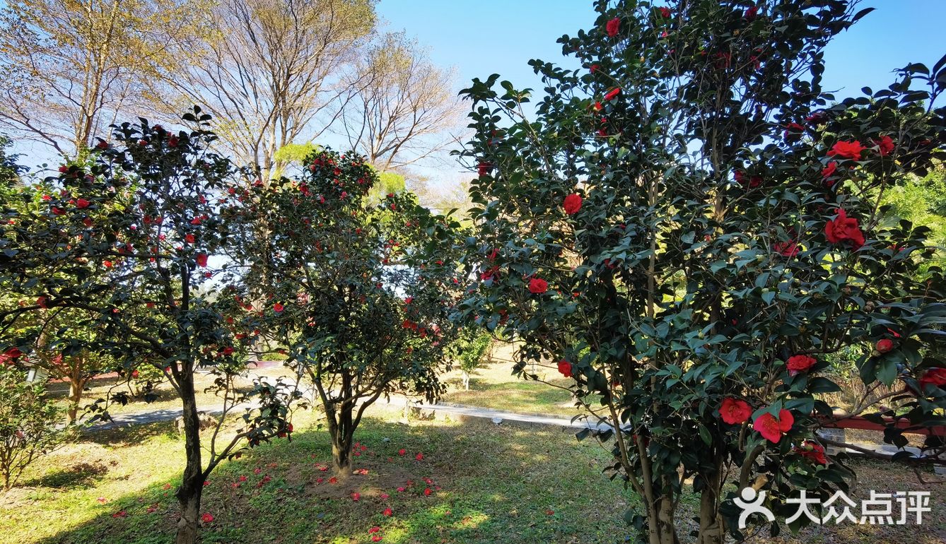 御花園位置就在正門入口右手邊