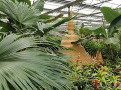 -南宫五洲植物乐园