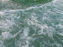 -苏州太湖国家湿地公园