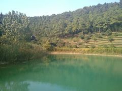 android_upload_pic-旺山景区