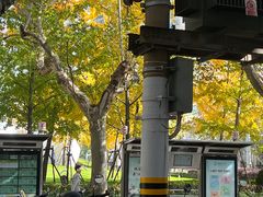 -小团圆糖水铺(襄阳南路店)