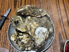 -蚝堡海鲜·威海菜·海肠捞饭·烧烤·亚洲吃蚝公司(幸福门店)