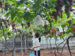 -青岛鑫江温德姆酒店