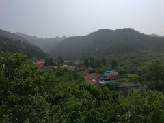 -崂山风景区-大河东游客中心