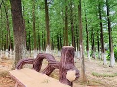 -艾溪湖湿地公园