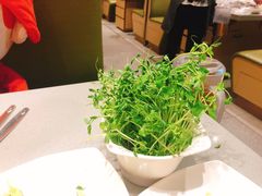-海底捞火锅(平谷华联店)