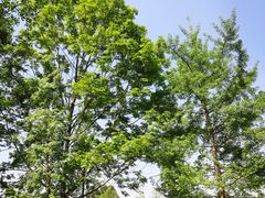 -白鹭湾湿地公园