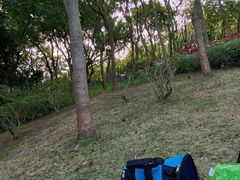 -深圳湾公园-停车场