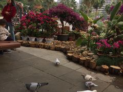 -柳饮·春柳酒家