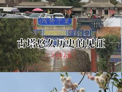 -法门文化景区-合十舍利塔