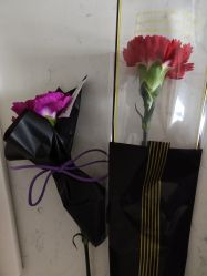 -季橙月子护理中心(金华店)