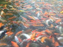 -厦门日月谷温泉渡假村