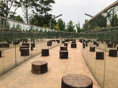 -武清南湖绿博园