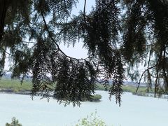 -颐和园