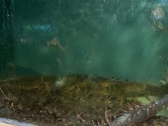 -原龙海鲜大排档(美食地标店)