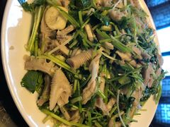 芫爆肚丝-来顺成饭庄