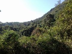 android_upload_pic-红山村