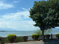 -洱海月湿地公园
