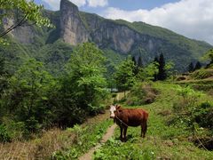 -鹿院坪生态旅游景区