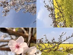 -趣飞飞黑麋峰国际滑翔伞基地