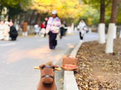 -长白岛森林公园