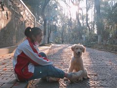 -杭州半山国家森林公园