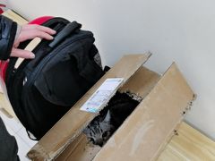 -全心全意连锁动物医院·微创中心·内科急重症·心脏专科(丰管路店)