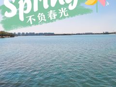 -丁香湖公园