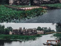 -微山湖红荷湿地景区