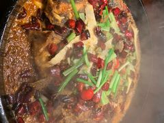 -老板恋上鱼(高新万达店)