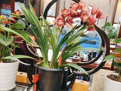 -东湖印象汉寿特色甲鱼钵子菜(渔人码头店)