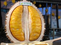 -都念榴莲·城市榴莲