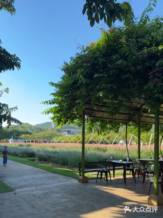 盈香心动乐园图片