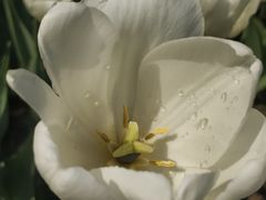 -长春公园(普阳街道)