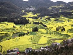 -牛街螺丝田
