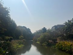 -大旗头古村