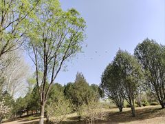 -石家庄市植物园