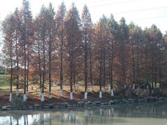 -九里河湿地公园