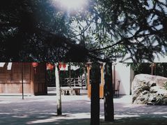 -刘伯温故里景区百丈漈
