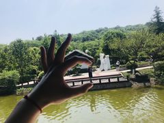 -重庆园博园