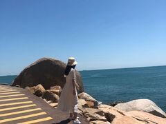 -广东惠东海龟国家级自然保护区