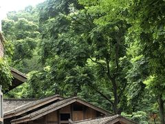 -张豆花(碚峡路店)